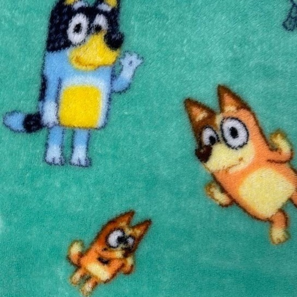 Bluey Bingo Bandit Character Fleece Blanket Green Kids Soft Throw Dog Baby - Picture 5 of 5